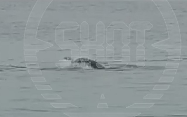 Смертельное нападение акулы на российского туриста на курорте Хургады попало на видео