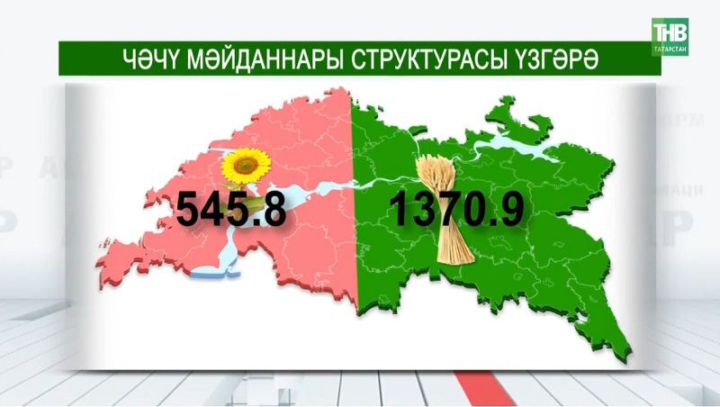 Татарстанда урак тәмамлана: 3 млн 800 мең тоннага якын бөртек җыеп алынган