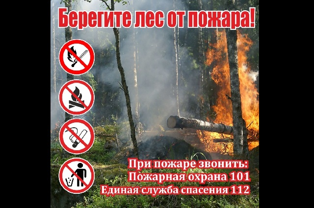 Объявленное в Татарстане штормовое предупреждение продлили до 29 августа