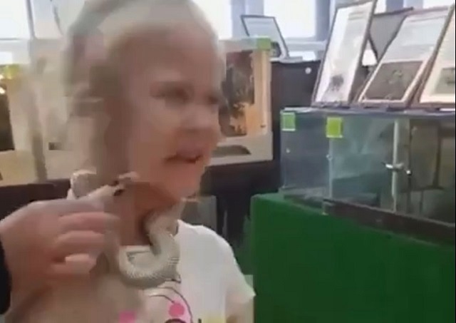 Шокирующее видео: змея вцепилась в щеку пятилетней девочки во время фотосессии