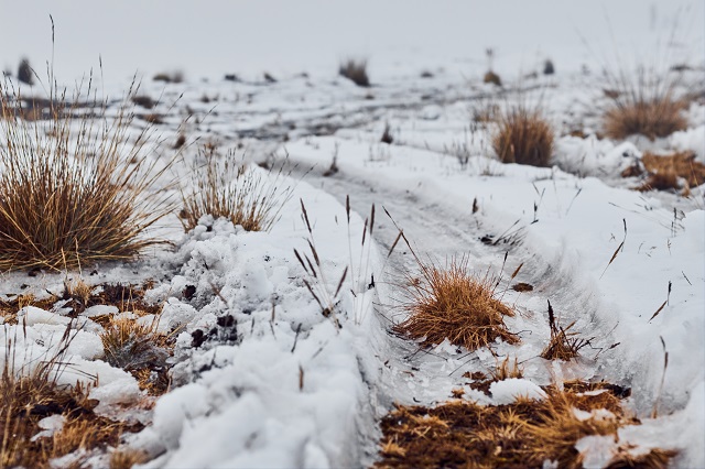 Жителям Татарстана объяснили, чем опасен высокий снег на полях