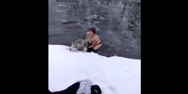 Пенсионерка бросилась в ледяную реку ради спасения тонущей собаки — видео