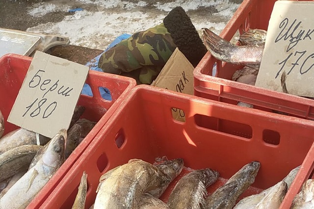 Госкомитет РТ по биоресурсам выявил точки незаконной продажи рыбы в Казани