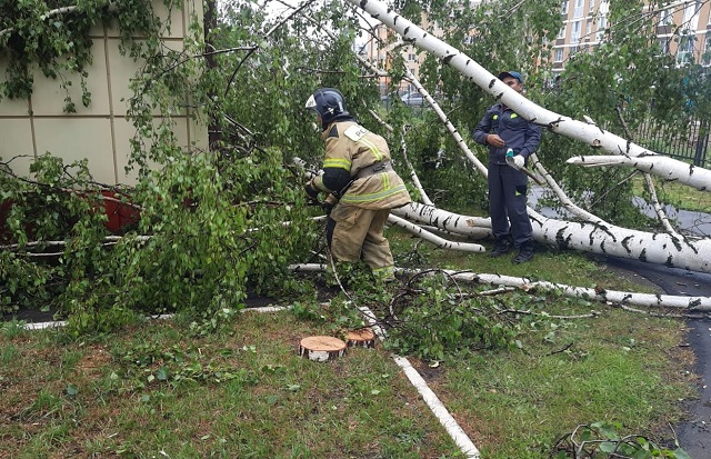 Разбушевавшаяся непогода оставила без электричества 8 500 жителей Агрызского района РТ