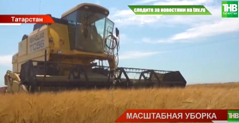 В Татарстане лучшими в уборке зерновых оказались Заинский, Тетюшский и Кукморский районы - видео