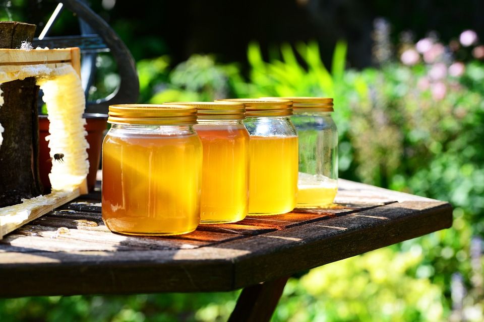 Татарстан вошел в пятерку регионов России с самым вкусным медом