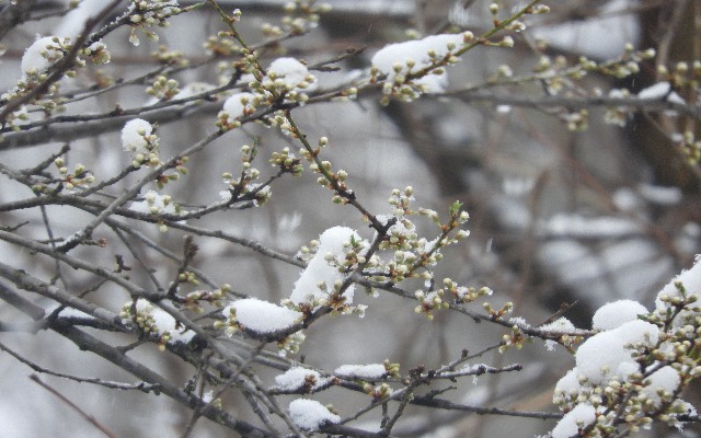 Теплое, но снежное завершение первых весенних выходных ожидается в Татарстане