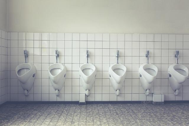 Содержание общественных туалетов обойдется бюджету Казани в 38 млн рублей