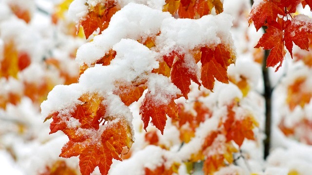 Первый снег близко: жителям Татарстана дали неутешительный прогноз