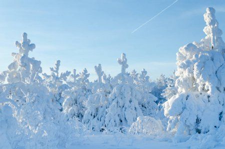 Когда в Татарстан придет настоящая зима и выпадет новогодний снег? (ВИДЕО)