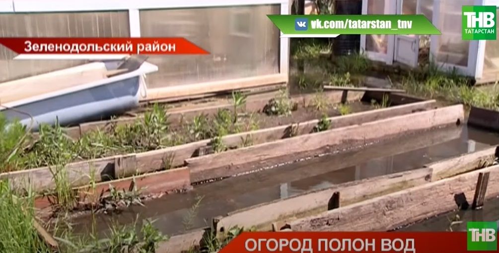 «Не огород, а болото»: в поселке Васильево пятый год затапливает сады - видео