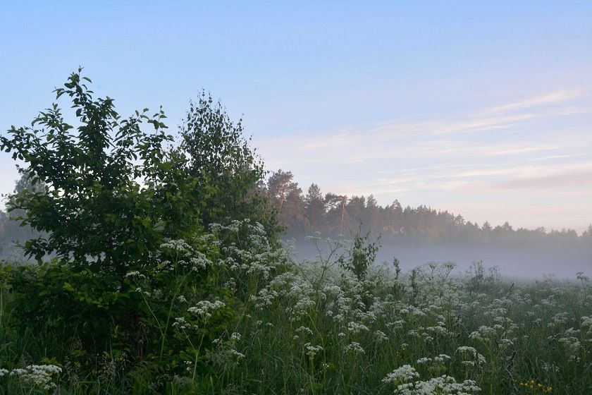 Дождливый день в субботу: 3 июля Татарстан накроют ливни, грозы, град и туман