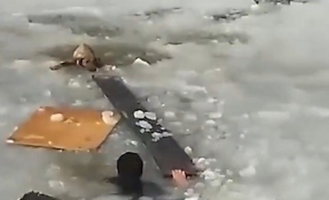 Рискуя жизнью, жители Татарстана спасли провалившуюся под лед собаку - видео