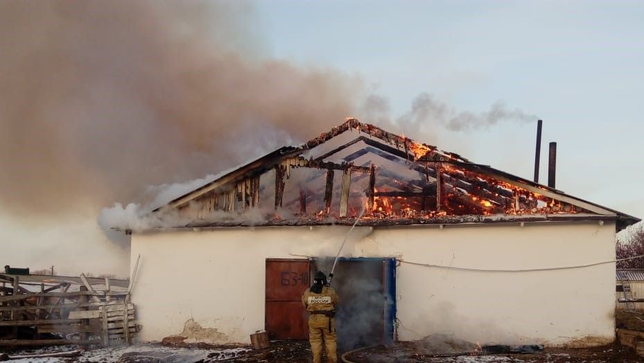 В Татарстане сгорела ферма