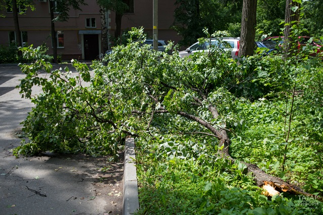 В Казани 23 человека пострадало от урагана