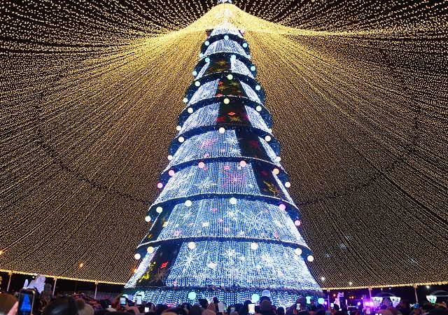 Открытие главной елки в Казани запланировано на 24 декабря 