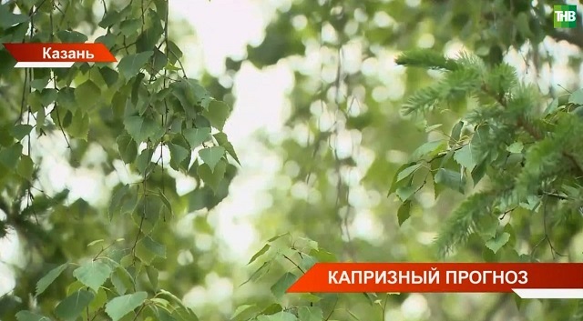 Капризный прогноз: все о сюрпризах лета-2024 рассказали метеорологи Татарстана