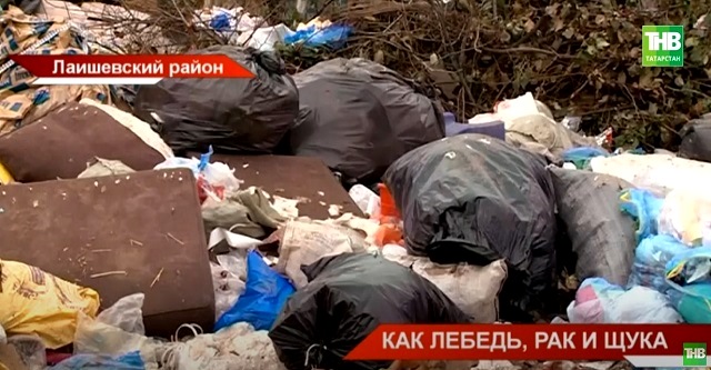 ТНВ выяснил, почему «мусорная» реформа под Казанью до сих пор «буксует»