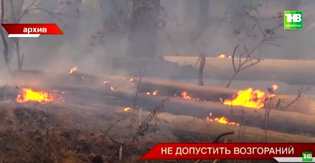 Готовность к противопожарному сезону в Татарстане оценила комиссия по предупреждению ЧС
