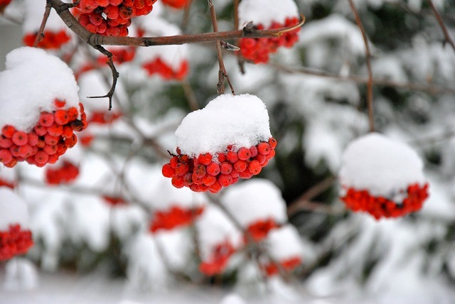 Гидрометцентр РТ: 21 октября в Татарстане ожидается первый снег