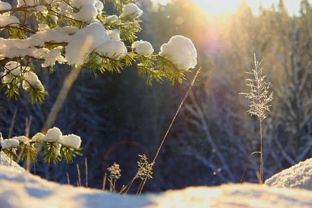 Весна откладывается: 24-градусные морозы ударят в Татарстане в начале марта