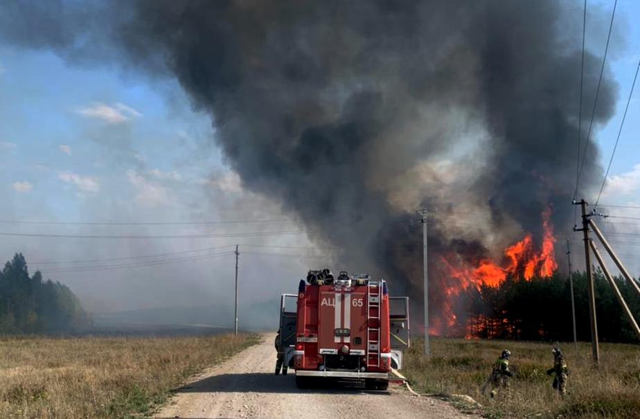 В Татарстане потушили лесной пожар возле села - видео