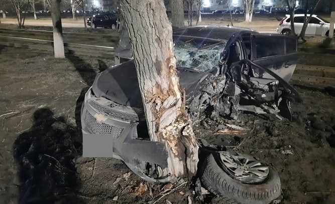 В Нижнекамске автоледи впала в кому после столкновения с деревом
