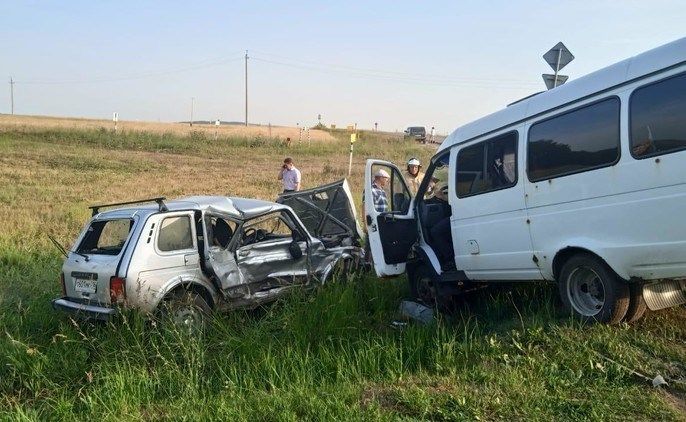 В Татарстане по вине пьяного водителя без прав погиб трехлетний ребенок