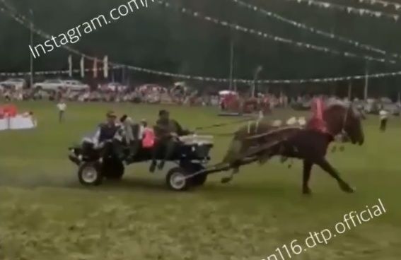 Видео: запряженная в телегу лошадь влетела в толпу людей на Сабантуе в Татарстане