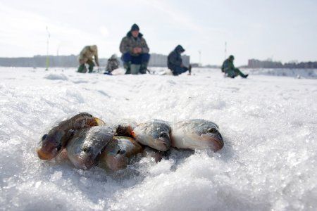 Рыбак из Спасского района уплыл в Ульяновск на льдине (ВИДЕО)