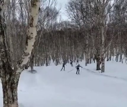 Шокирующее видео: на Камчатке биатлонист скончался после столкновения с деревом