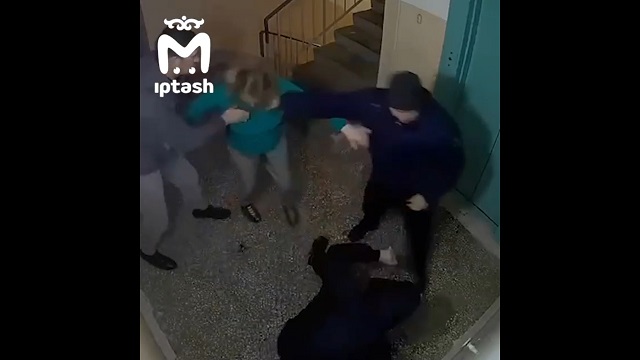 Двое жителей Нижнекамска жестоко избили соседей за шумные посиделки – видео