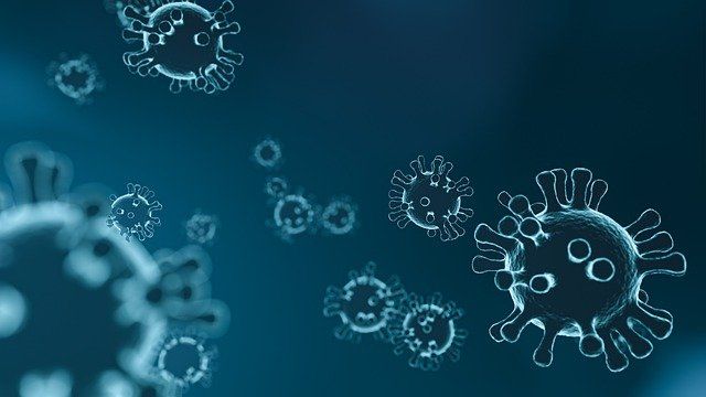 ВОЗ: второй год пандемии коронавируса может принести еще больше смертей