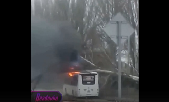 В Таганроге из-за падения дерева на электросеть загорелся автобус с 40 пассажирами – видео