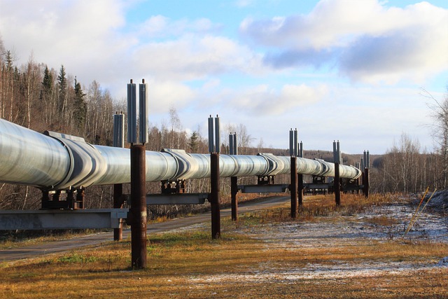 Германия временно приостановила сертификацию газопровода «Северный поток-2»