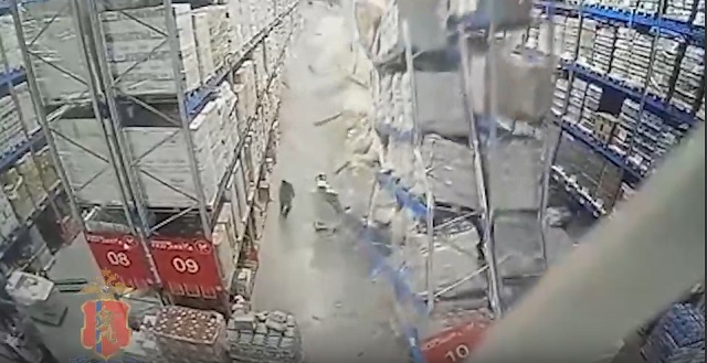 Появилось видео с моментом обрушения на рабочего 8-метровых стеллажей на складе алкоголя