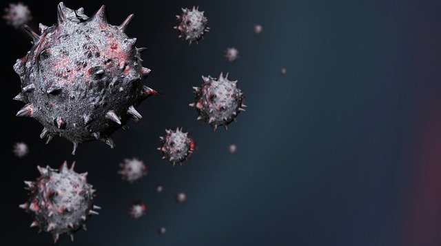 В России у двух прибывших из ЮАР обнаружили коронавирус
