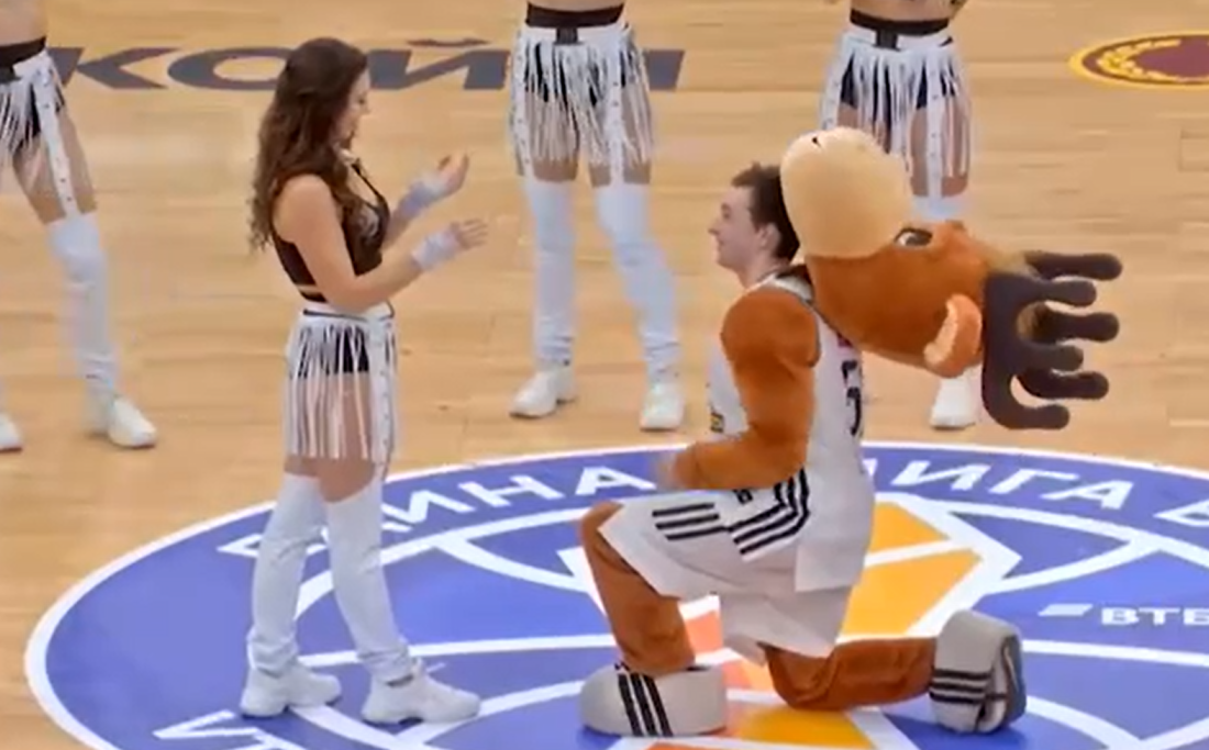 Олень-романтик на баскетбольном матче покорил зал и интернет