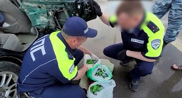 В РТ остановленный на посту ГИБДД водитель добровольно сдал 5,9 кг наркотиков - видео