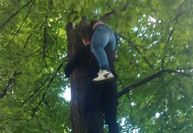 В РТ застрявшую на дереве во время спасения кота женщину пришлось снимать спасателям