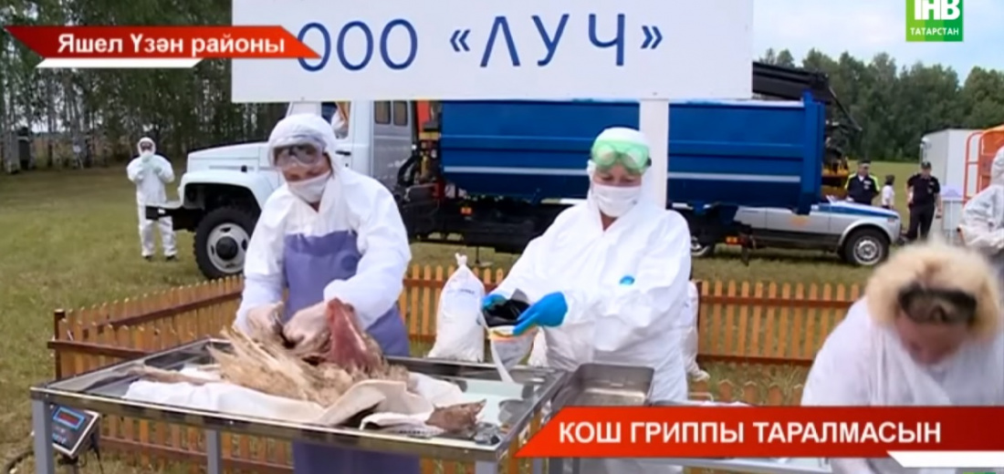 Татарстан, Чувашия һәм Марий Эл республикаларыннан ветеринарлар эш тәҗрибәләре белән уртаклашты