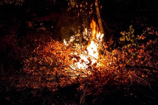 В Татарстане из-за риска лесных пожаров объявили штормовое предупреждение