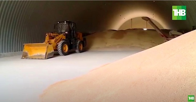 Урожайная кампания еще не окончена, а в РТ намолочено уже 5,2 млн тонн зерна 