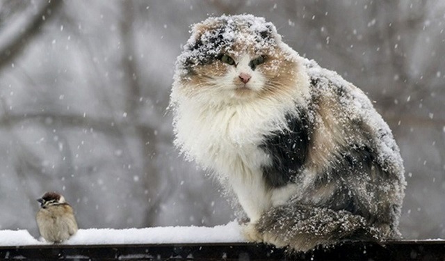 12 ноябрьдә Татарстанда яңгырлар һәм җил көчәюе көтелә