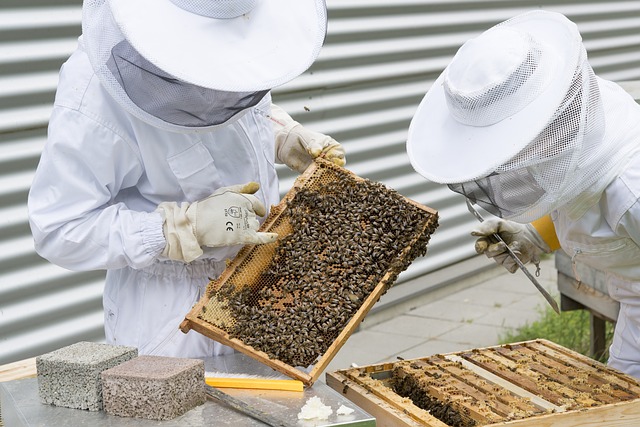В Татарстане создают республиканский Центр пчеловодства и аквакультуры
