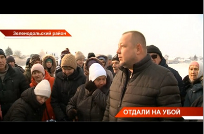 Жители поселка Васильево выступили против возведения скотобойни на берегу Волги – видео
