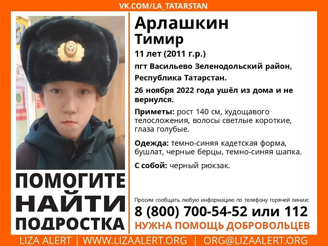 Без вести пропавшего 11-летнего школьника из поселка Васильево в РТ объявили в розыск