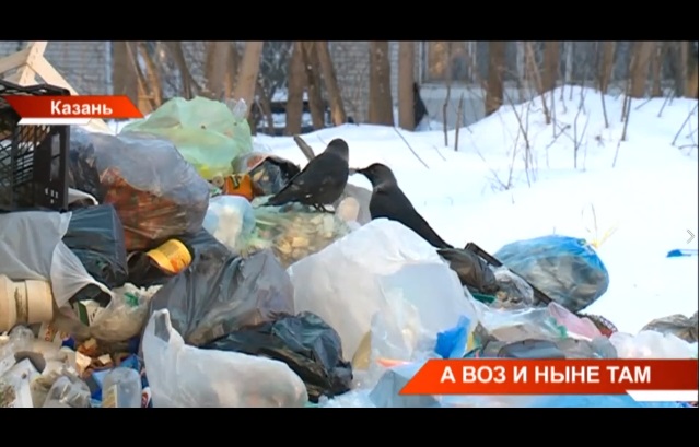«Мусорная Казань»: в столице Татарстана не могут решить проблему с вывозом отходов