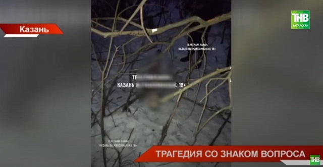 Нападение собак, убийство или злой рок: в Казани расследуют ужасающую гибель мужчины