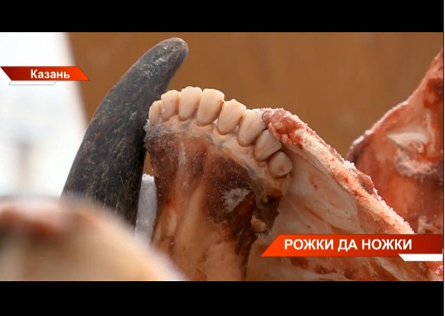 Жители Казани обнаружили у дома контейнер, заполненный отрубленными головами